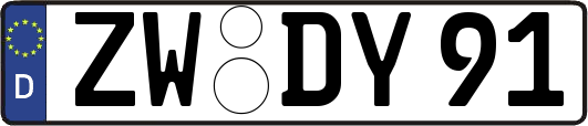 ZW-DY91