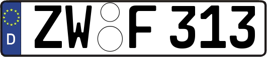 ZW-F313