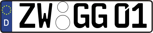 ZW-GG01