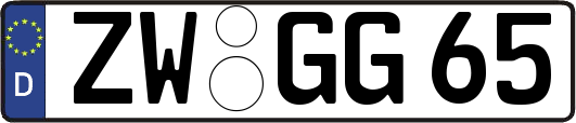 ZW-GG65