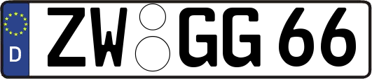 ZW-GG66