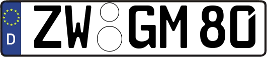 ZW-GM80
