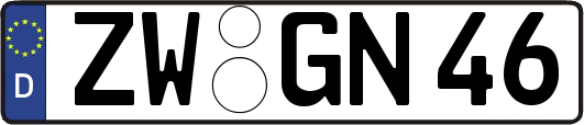 ZW-GN46