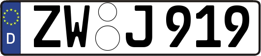 ZW-J919