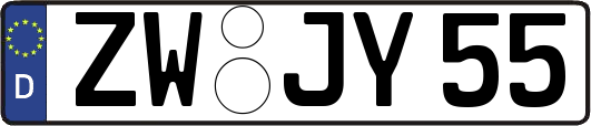 ZW-JY55