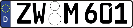 ZW-M601