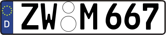 ZW-M667