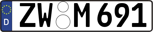 ZW-M691