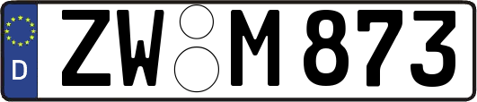 ZW-M873