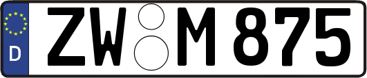 ZW-M875