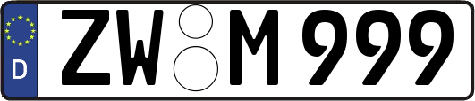 ZW-M999