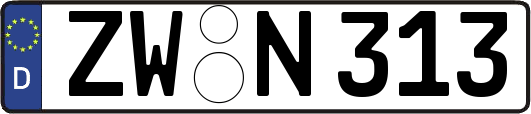 ZW-N313