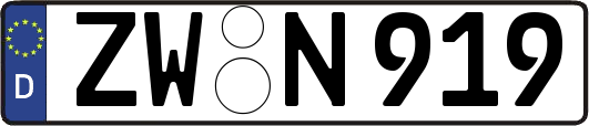 ZW-N919