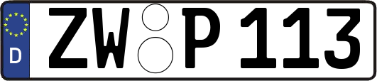 ZW-P113