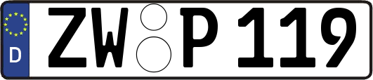 ZW-P119