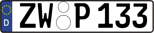 ZW-P133