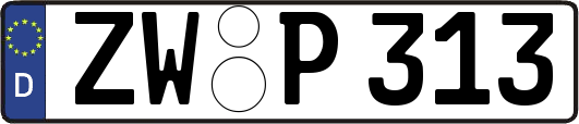 ZW-P313