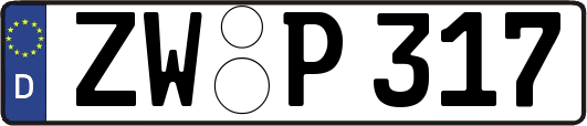 ZW-P317