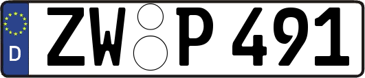 ZW-P491