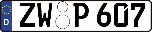 ZW-P607