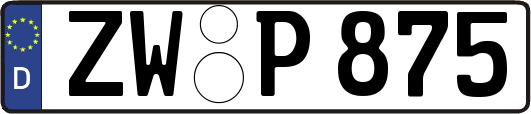 ZW-P875