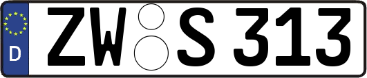 ZW-S313