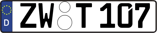 ZW-T107