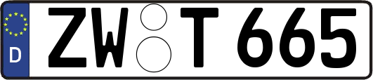 ZW-T665