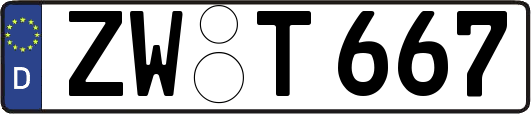 ZW-T667