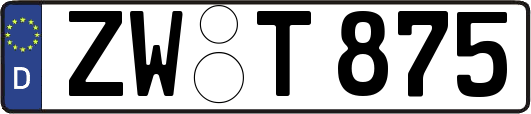 ZW-T875