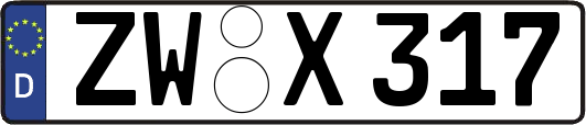 ZW-X317