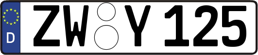 ZW-Y125