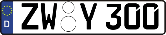 ZW-Y300
