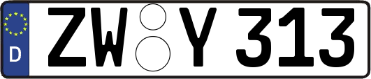 ZW-Y313