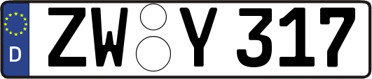 ZW-Y317