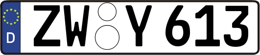 ZW-Y613