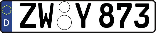 ZW-Y873
