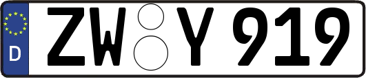 ZW-Y919
