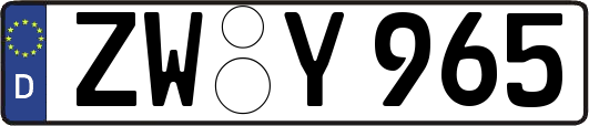 ZW-Y965