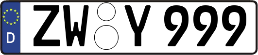 ZW-Y999