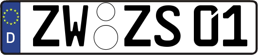 ZW-ZS01