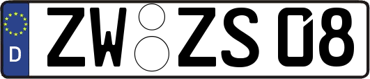 ZW-ZS08