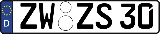 ZW-ZS30