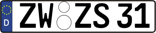 ZW-ZS31