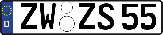 ZW-ZS55