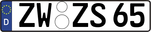 ZW-ZS65
