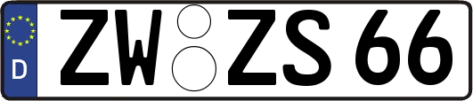 ZW-ZS66
