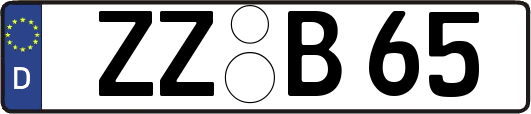 ZZ-B65