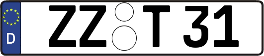 ZZ-T31